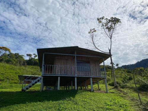 Alfombra Apartamento | Econative Baru Toucan Cabin con vista al bosque de Platanillo