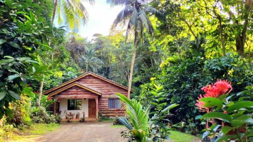 Mammee Bay Casa | Ecoscape Jamaica - Cottages by the river