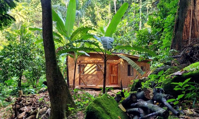 Mammee Bay Cabaña | Ecoscape Tulia - Private Nature Escape - 1 Bedroom, 30 minutes to Ocho Rios