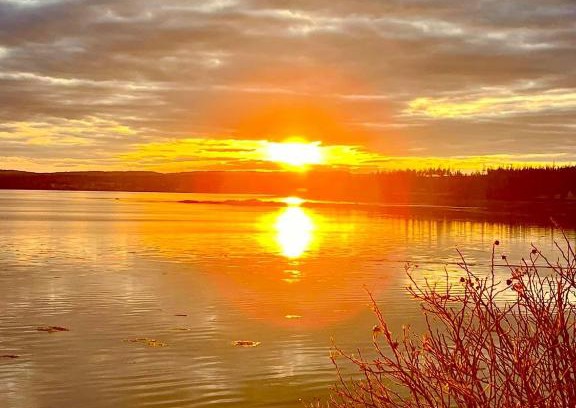 Chemainus Casa | Edgewater sunrise apartment