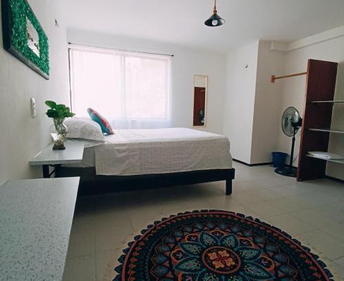 Alfredo V. Bonfil Apartamento | Educarte Department