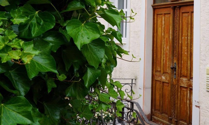 Neuerburg Apartamento | Eifel Fewo - 4-bed vacation apartment shower/WC, 2 bedrooms