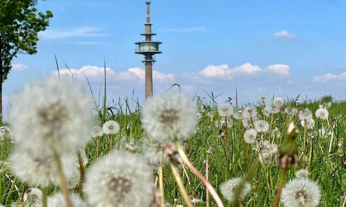 Huertgenwald Condominio | Eifelauszeit - Auszeit ist Eifelzeit / bis zu 8 Personen + Kind + Vierbeiner