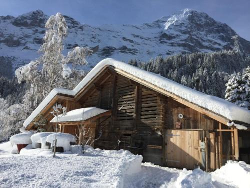 Grindelwald Apartamento | Eigerhome - The Cottage mit Wellness - GRIWA RENT AG