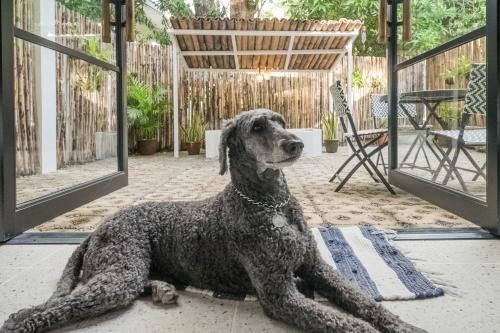Olongapo Apartamento | EIWA Nest Self-Service Apartment - AC, Outdoor Tub, Pet Friendly with a Fee