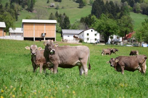 Tolmin Apartamento | Ekološka turistična kmetija pri Lovrču