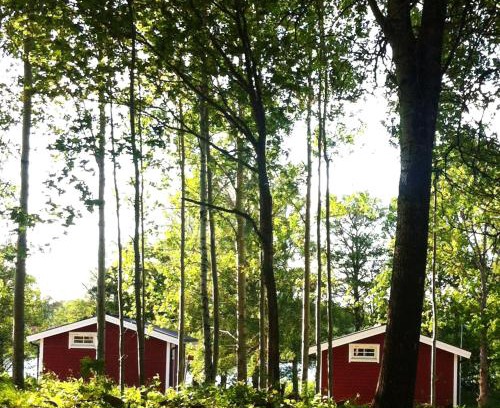 Eksjo Otro | Eksjö Camping & Konferens