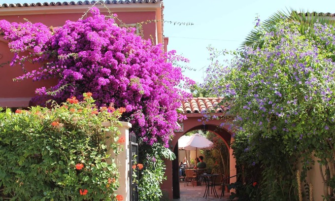 La Serena Cama Y Desayuno | EL ARBOL HOSTEL