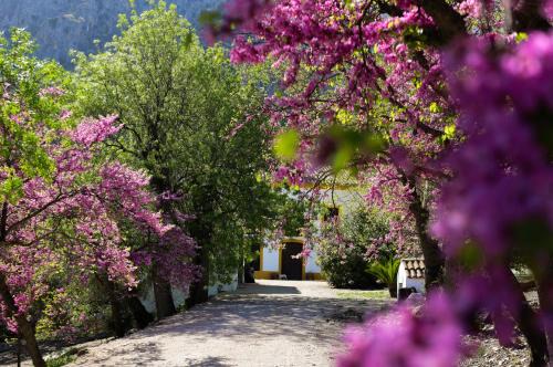 Jaén Casa | El Ayozar
