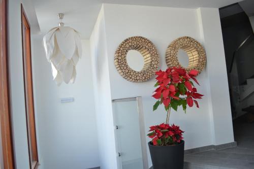Telde Apartamento | El Baladero