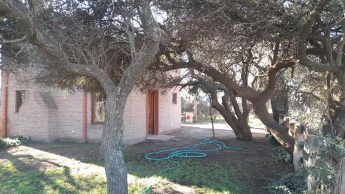 Toay Casa | El Bosque