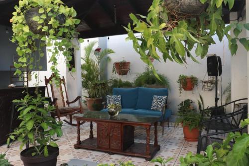 Sector 1 Nor-Oeste Cama Y Desayuno | El Jardin de la Nonna
