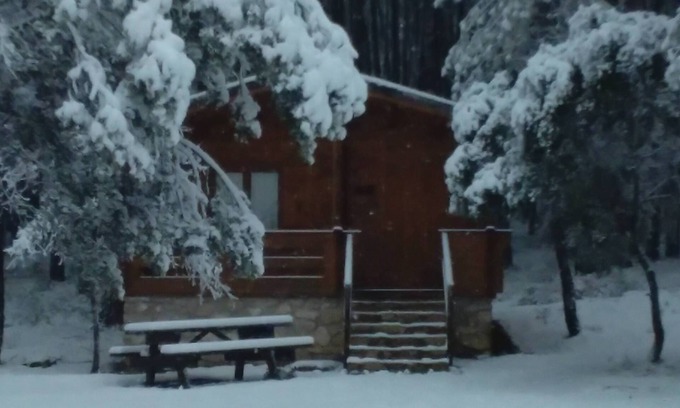 Cañamares Cabina | Cabañas El Llano de los Conejos - Cabaña Pequeña 3