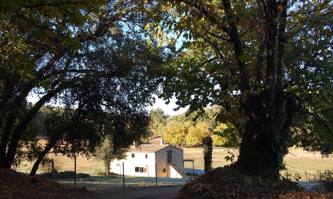 Fuenteheridos Cabaña | Finca "El Zurrador", finca agrícola, ganadera y forestal con Alojamiento Rural.