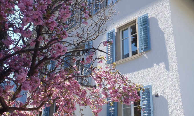 Chur Apartamento | Elegante y espacioso apartamento en una villa de estilo Art Nouveau.