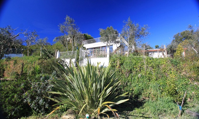 Pedrogao Grande Casa | Elegante casa de campo renovada en una propiedad de ensueño