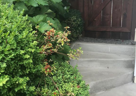 Historic Railroad District Casa | Elegant, historic cottage 1 1/2 blocks to downtown; 6 blocks to OSF.