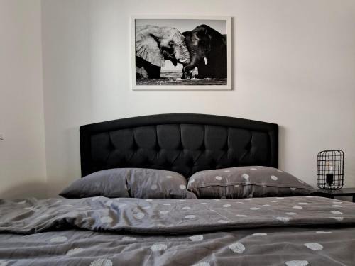 Banja Koviljaca Apartamento | Elephant Apartments