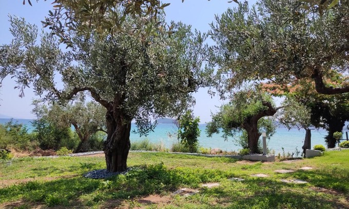Palaio Tsifliki Apartamento | elia by the sea
