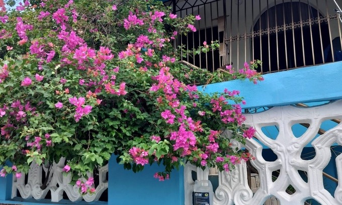 Barrio La Isabelita Casa | Eliana Rose