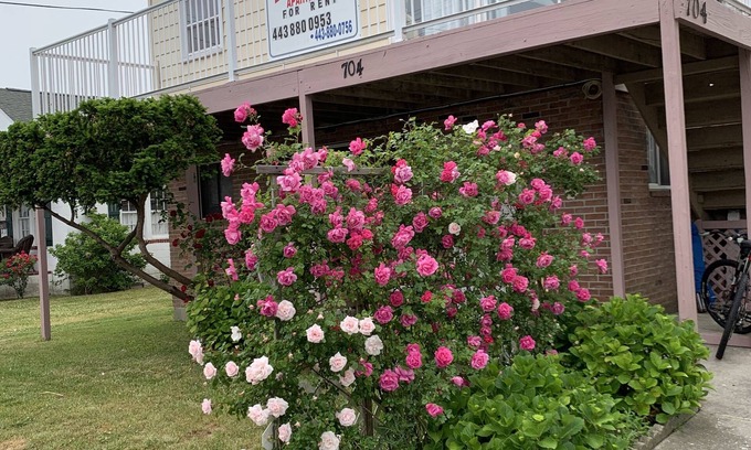 Ocean City Apartamento | ELIS APARTMENT