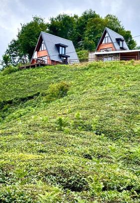 Ardesen Chalet De Esquí | Elit Bungalov