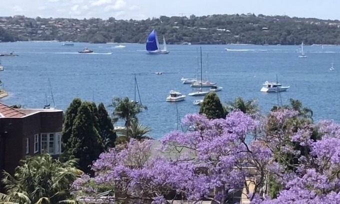 Rushcutters Bay Apartamento | Elizabeth Bay, Sydney Harbour - Great Views!