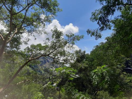 Ella Cama Y Desayuno | Ella Nithis Eco Cottages