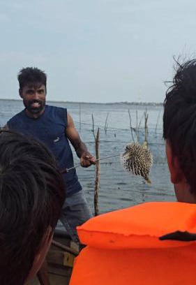 Jaffna Alquiler De Eote | Ellalan Tourism And Adventures in Jaffna