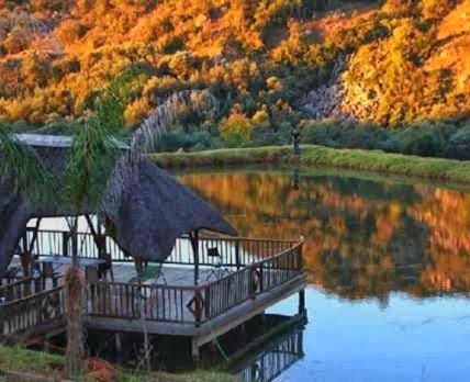 Piet Retief Cama Y Desayuno | Emahlathini Guest Farm
