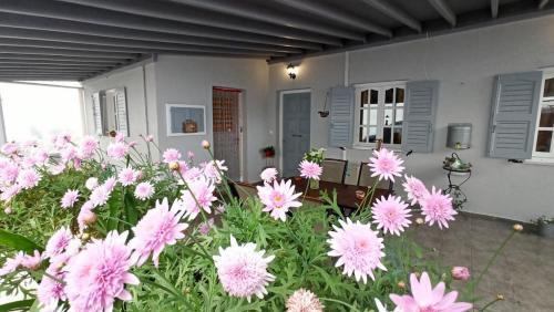 Ano Siros Apartamento | Emilia's Guest House
