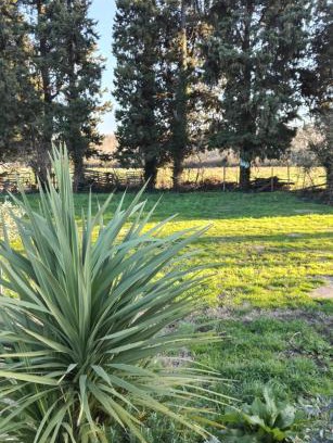 Barbentane Otro | Emplacement camping car chez agriculteur branchement électrique