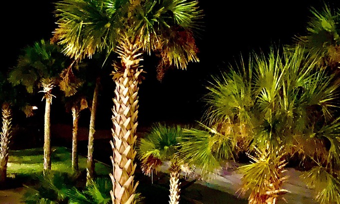 Henderson Point Condominio | ENCHANTED!