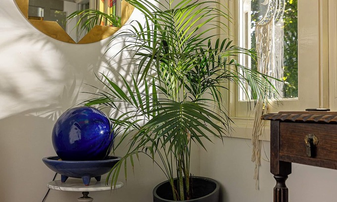 Cockatoo Apartamento | Enchanting Moroccan 1001 Nights Couples Hideaway