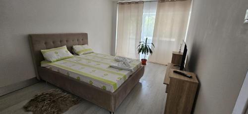 Sector 5 Apartamento | Energie4all