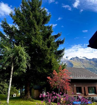 Engelberg Chalet De Esquí | Engelberg, Renovated Chalet in Wonderful Location