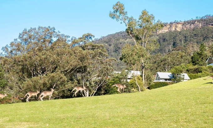 Kangaroo Valley Cabina | Enjoy outstanding views from this one bedroom cabin