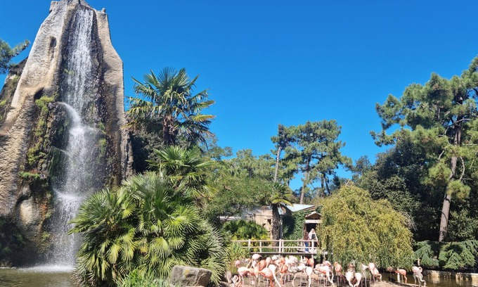 Semussac Casa | Enjoy peace and relaxation in this large holiday home with an inviting garden.