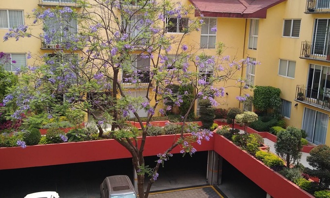 Coyoacán Apartamento | Enjoy the best location on Mexico City in San Angel