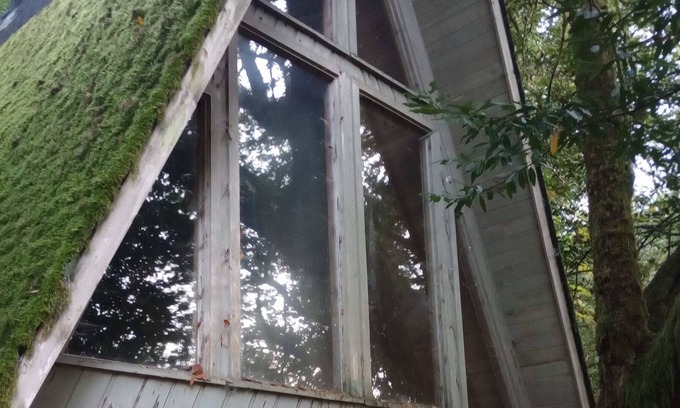 Brookings Apartamento | Enjoy the Chetco River wilderness