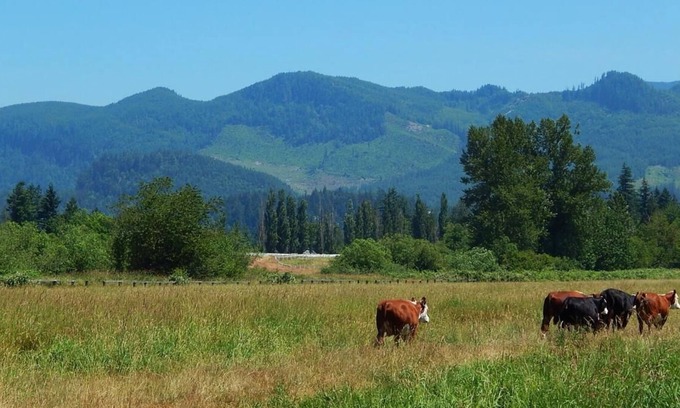 Enumclaw Casa | Enjoy The Great Outdoors at GuestHouse Enumclaw! Pet-friendly, Free Parking