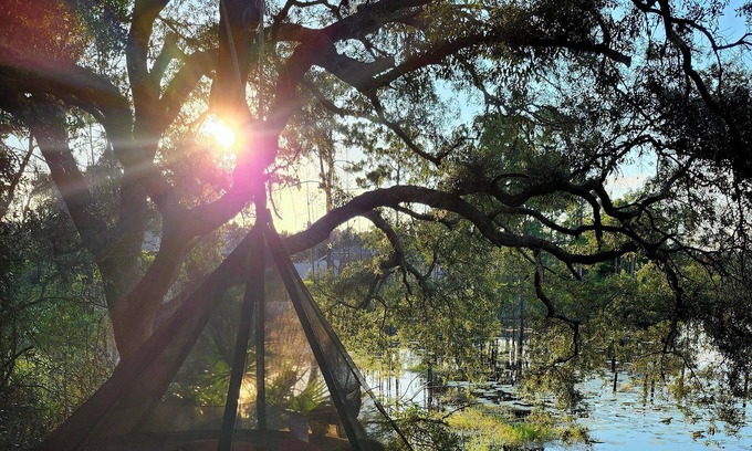 Deltona Lakes Casa | Enjoy unlimited lake views, tranquility and coffee for your sunrise