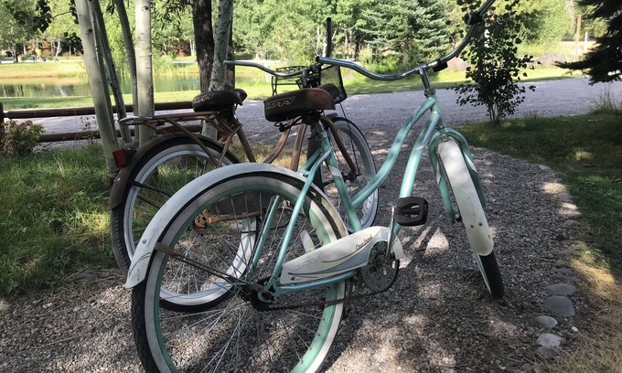 Idaho Falls Cabina | Enjoyable 1-bedroom “Mallard” Log Cabin in Ririe