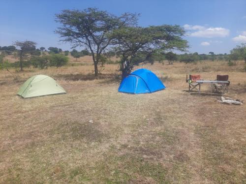 Mara North Conservancy Otro | Enkereri Camp Maasai Mara