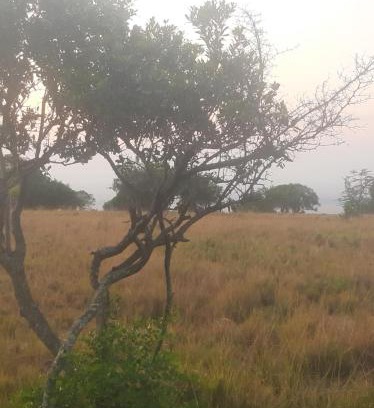 Mara North Conservancy Otro | Enkereri Camp Maasai Mara