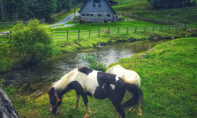 Sugar Grove Cabina | Entire Barn: Farm Stay w/ Petting Zoo, Tube Slide & Ziplines
