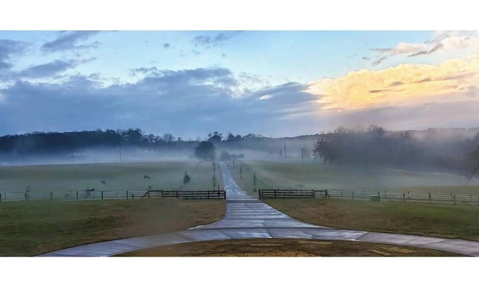 McDonough Casa | Entire House & Horse Farm - Outside Atlanta