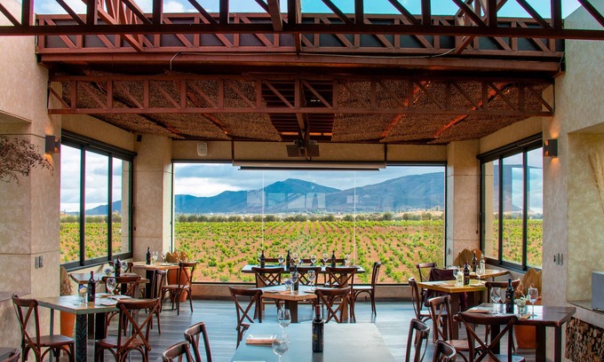 Valle de Guadalupe Hotel | Entre Viñedos