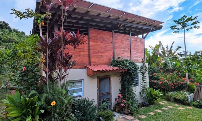 Vivi Abajo Apartamento | Epic Mountaintop Jungle Casita Adventure