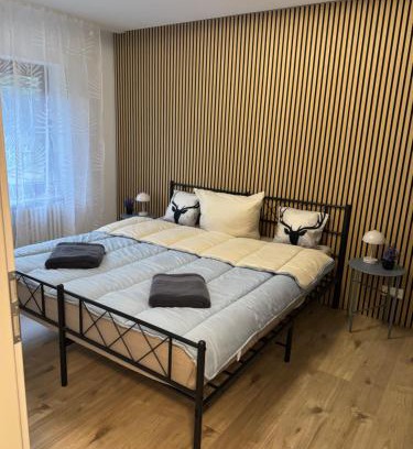 Freudenstadt Apartamento | Erdgeschosszauber